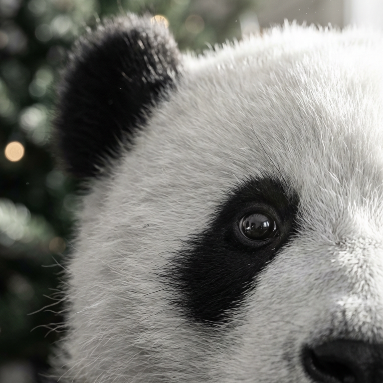 Kreativer Avatar als Beispiel für Workshops zu KI-Avataren, Content Creation und Social Media Strategien